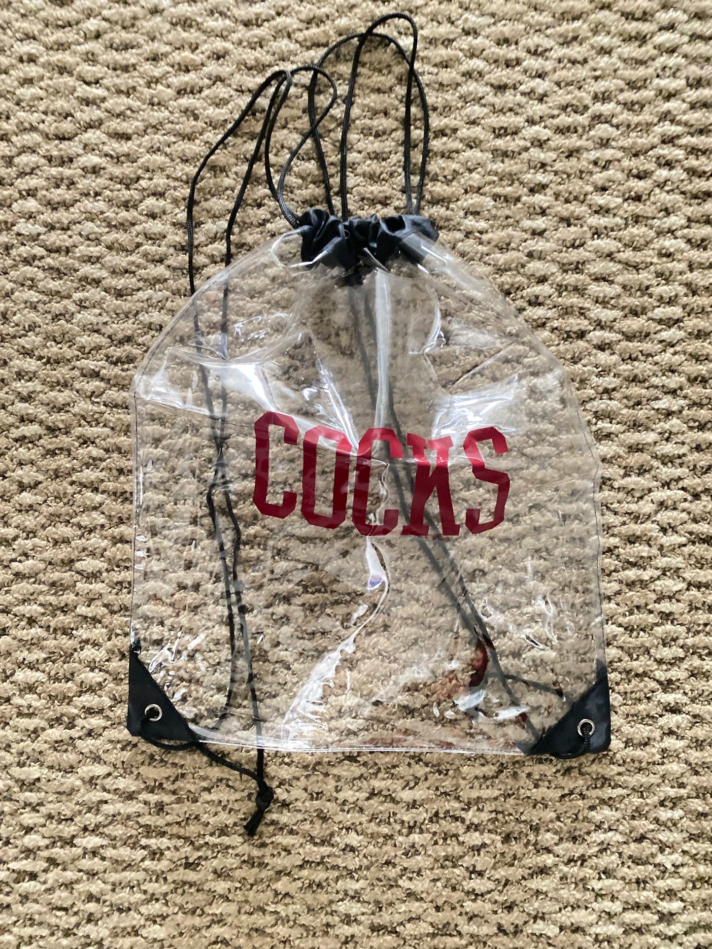 Clear Stadium Approved Drawstring Bags