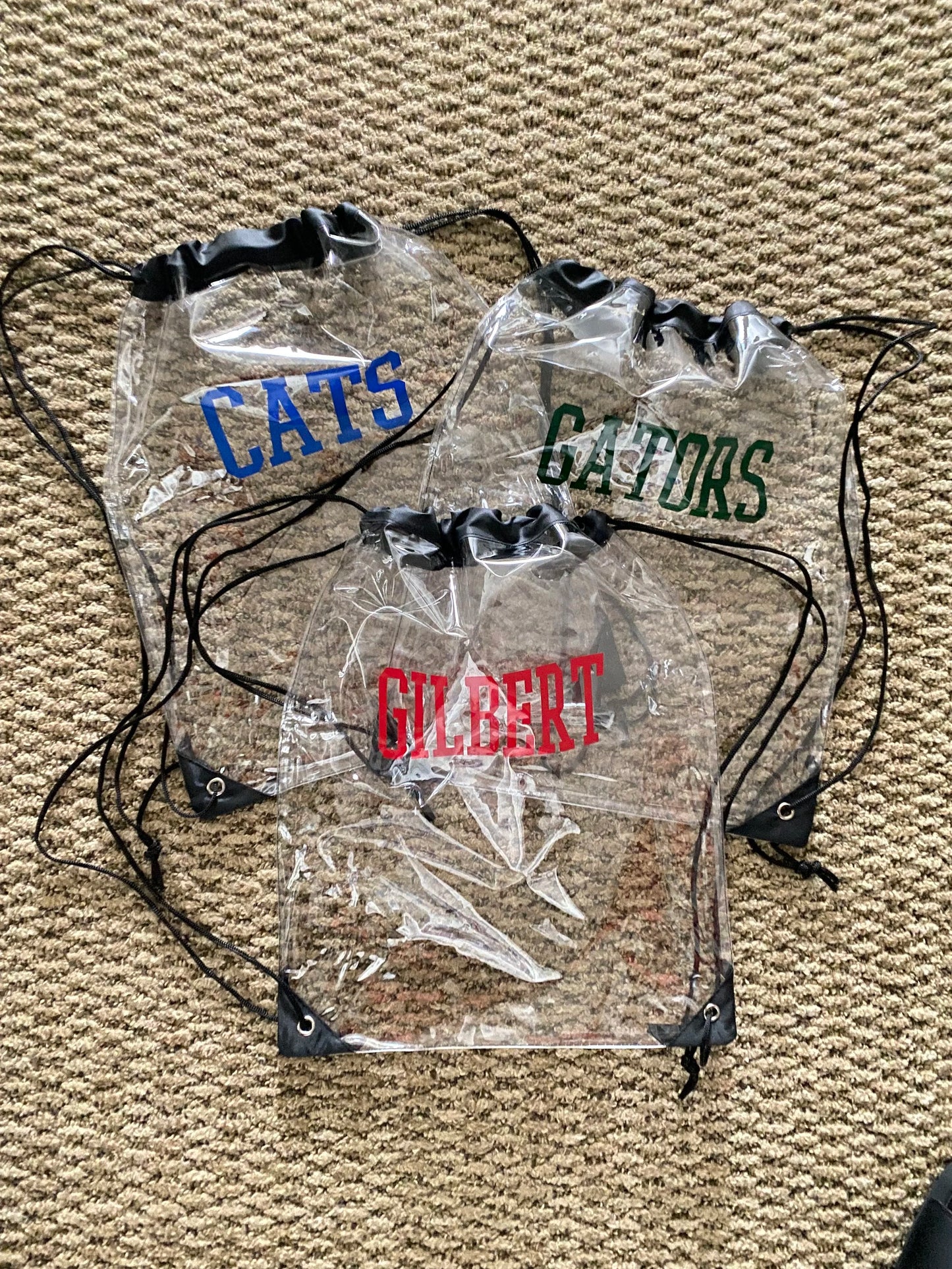 Clear Stadium Approved Drawstring Bags