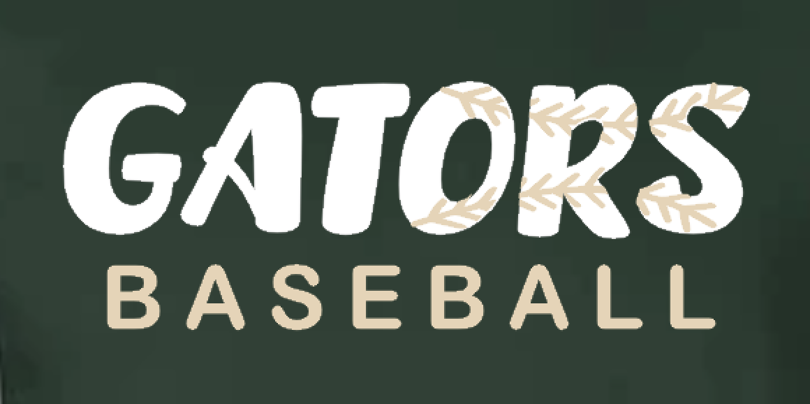 Gators Baseball Team Hoodie Sweatshirt