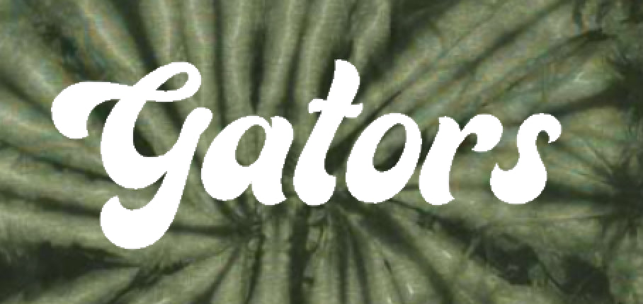 Gators Tie-Dye Fan Tee