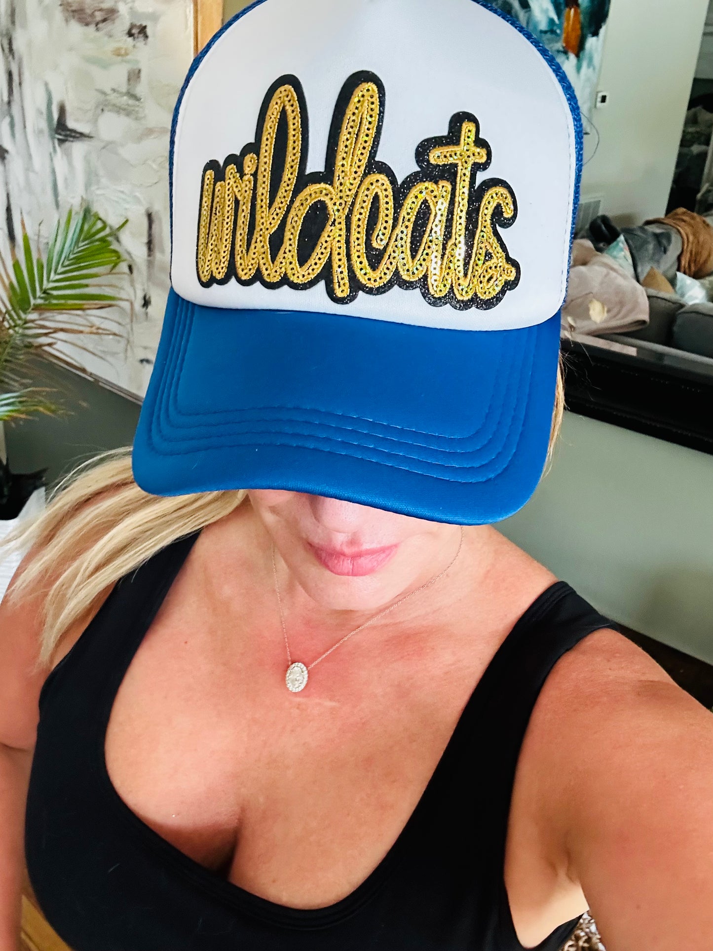 Wildcats Stadium Stunner SnapBack