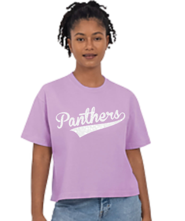 Panthers Comfort Colors Boxy Tee