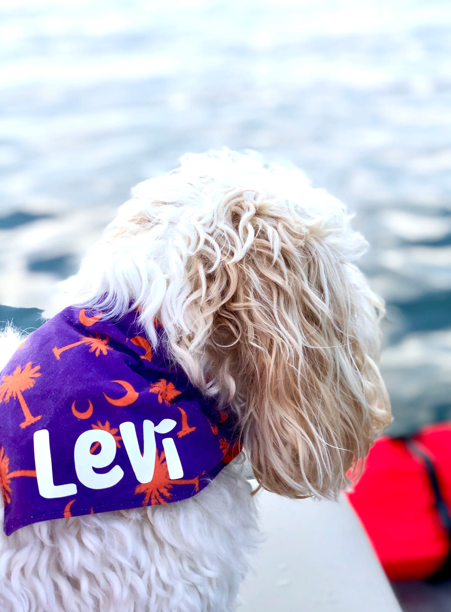 Personalized Pet Scarf