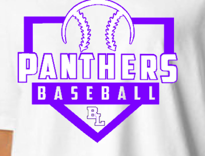 Panthers Baseball Comfort Colors Boxy Tee