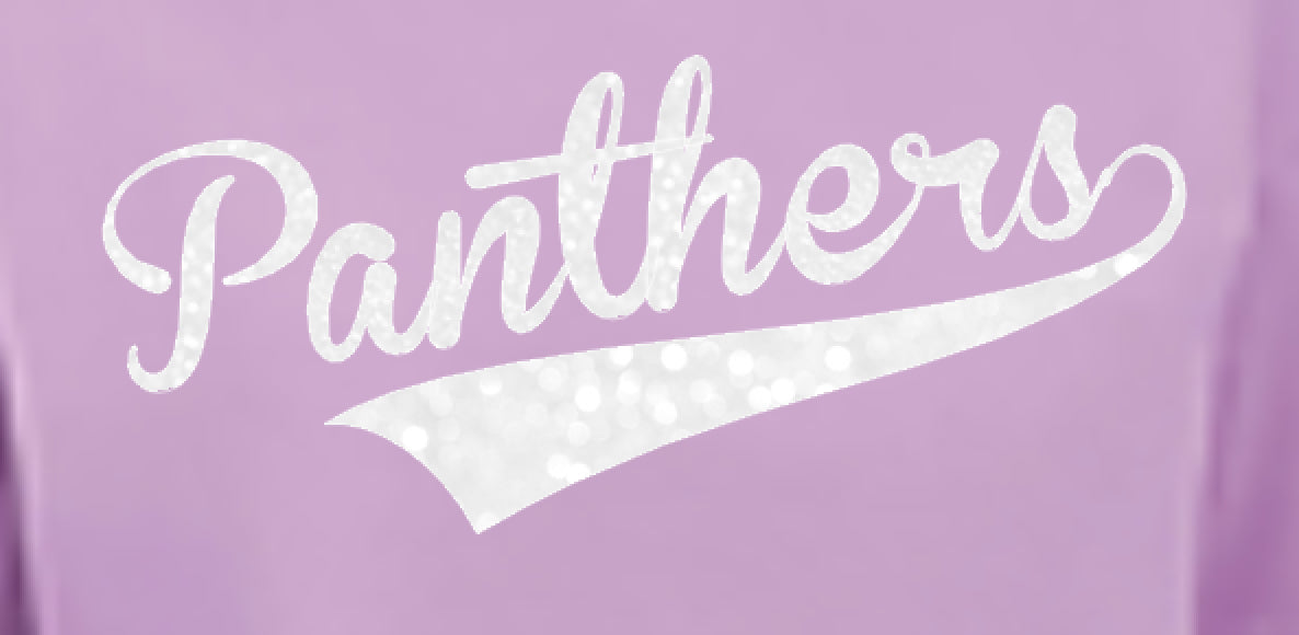 Panthers Comfort Colors Boxy Tee